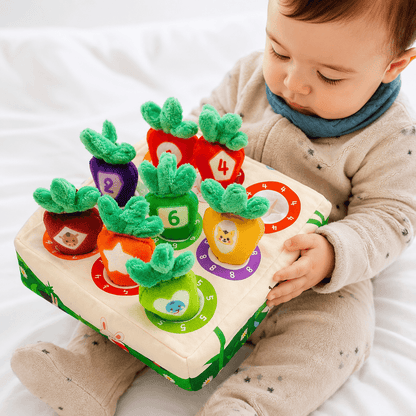 Brinquedo Educativo Infantil 26