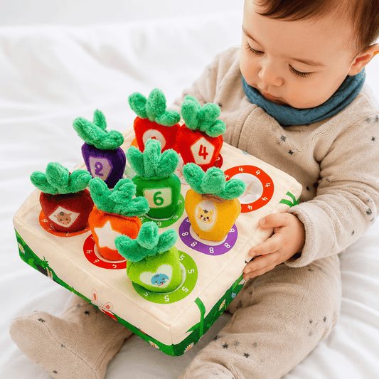 Brinquedo Educativo Infantil 26