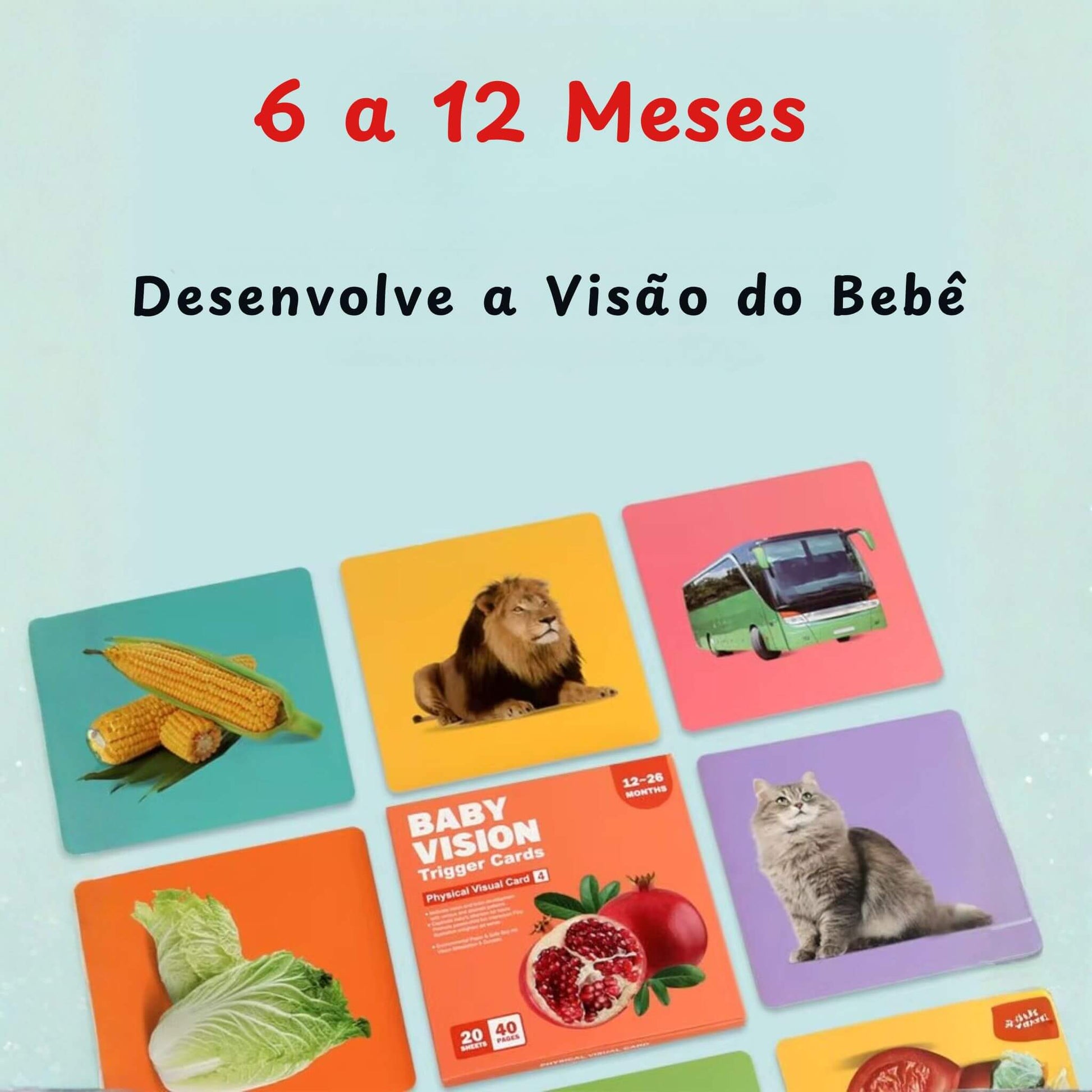 Brinquedo de Bebê- Cartões Estimuladores 6-12