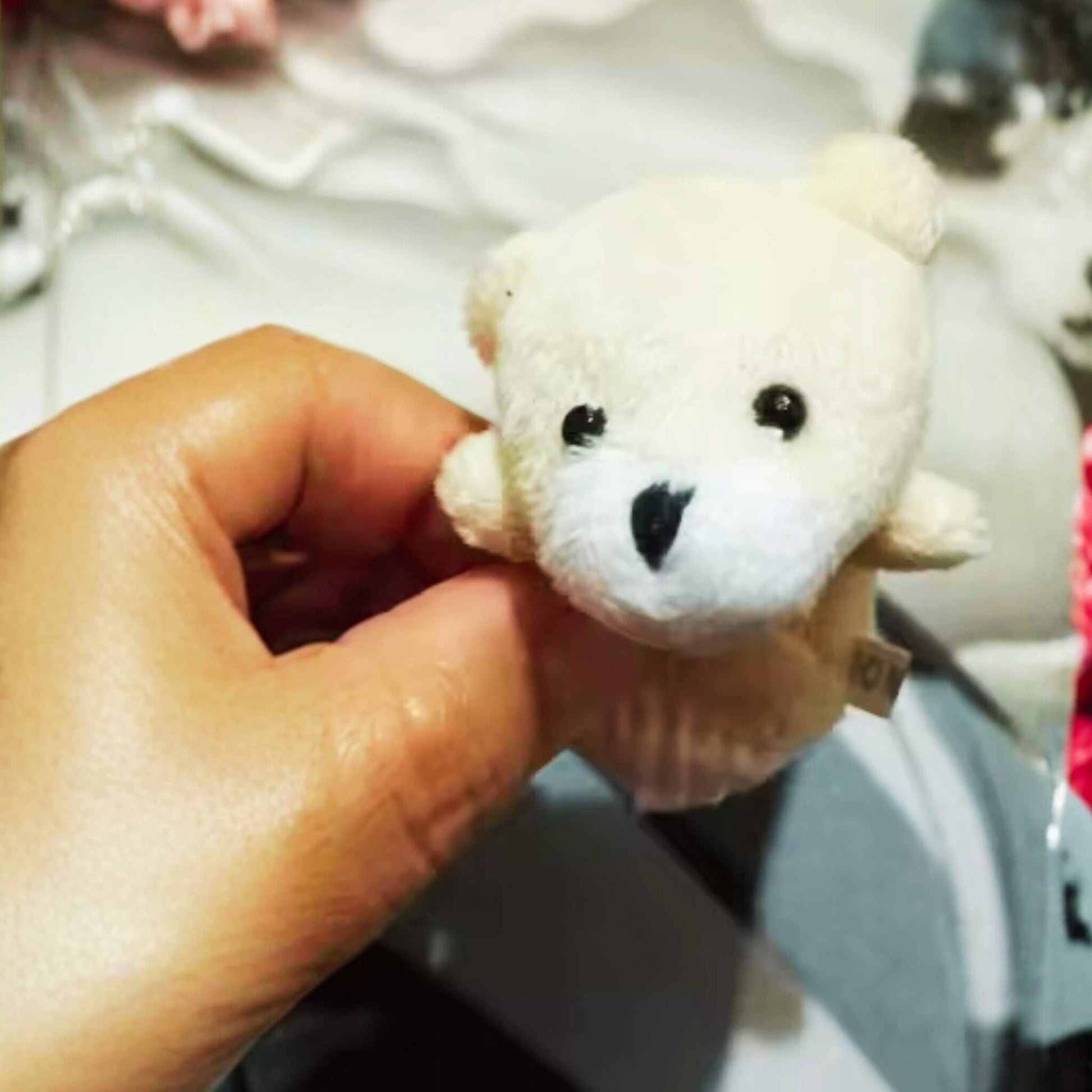 Dedoches de Animais Urso