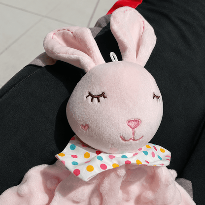 Naninha Coelhinho